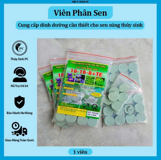Hạt Giống Sen MiNi Ngũ Sắc đánh giá hình ảnh 1